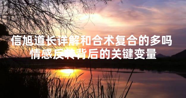 信旭道长详解和合术复合的多吗 情感反转背后的关键变量